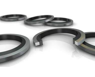 Trelleborg hydraulic seal